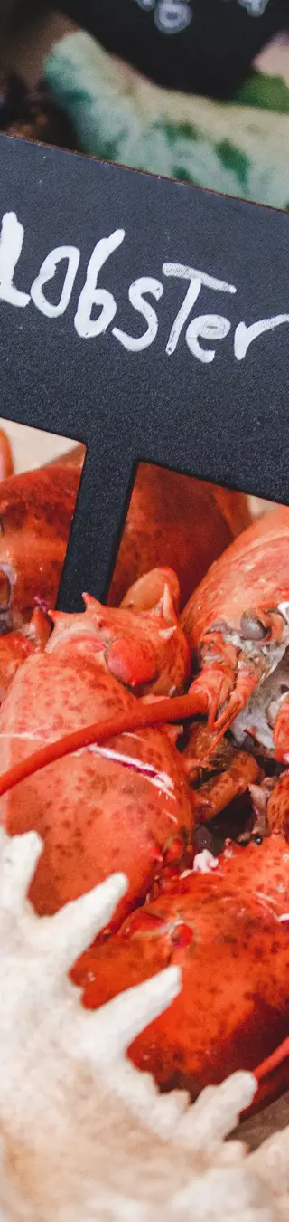 Geniesse den besten Lobster der Welt